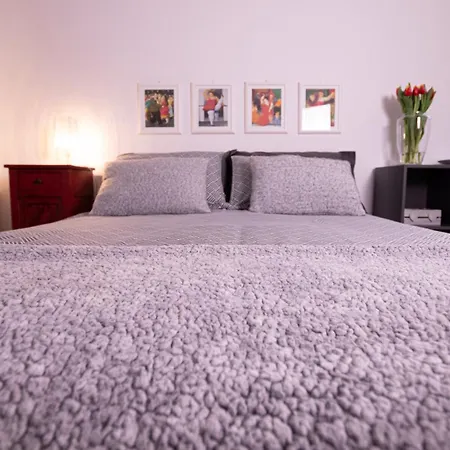 'al 40' Delizioso Monolocale Ai Piedi Di Alta Casa vacanze